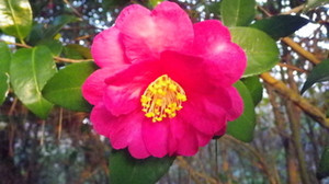Imgp0012