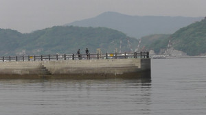 S1020017