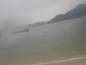 Imgp0037