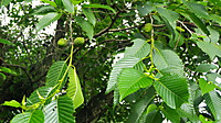 Imgp0107 Imgp0107