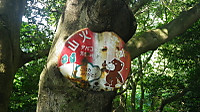 Imgp0129