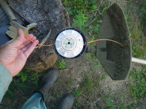 Imgp0166_2