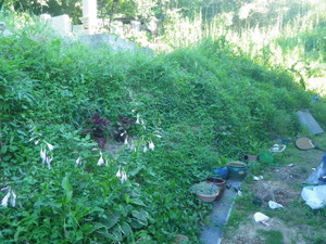 Imgp0169