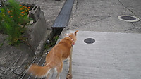 Imgp0186 Imgp0186