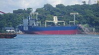 Imgp0302