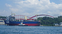 Imgp0310