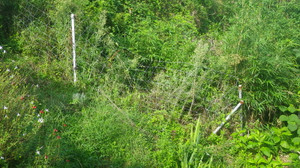 Imgp0351