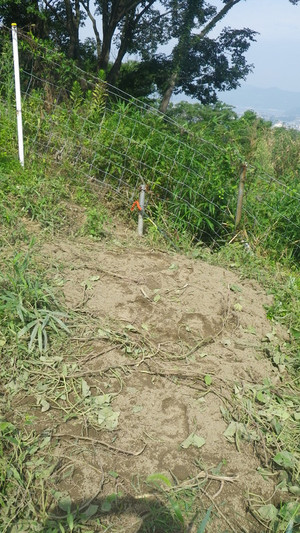 Imgp0353