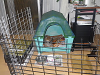 Imgp0674