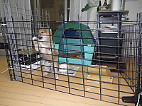 Imgp0676