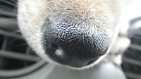 Imgp0773