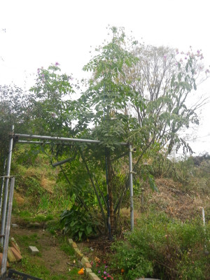 Imgp0815