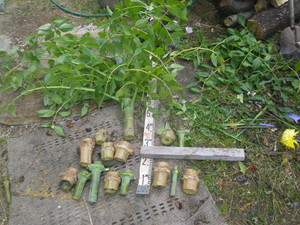 Imgp0817_4