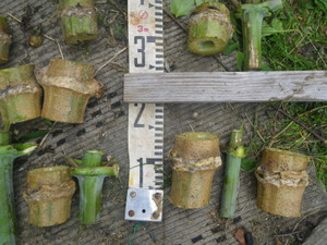 Imgp0818_7