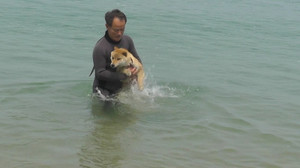 20120529_1355151_2