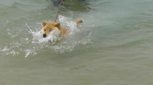 20120529_1355155_2