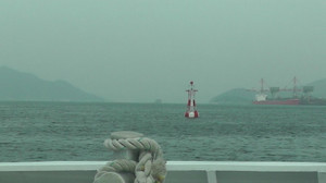 Photo_3