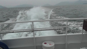 Photo_4