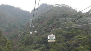 Photo_7