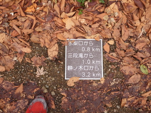 Dscf4572