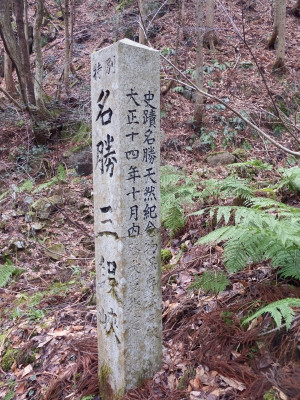 Dscf4581_2