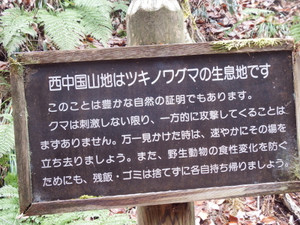 Dscf4582