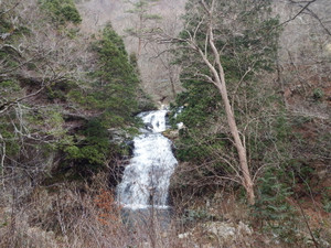 Dscf4591