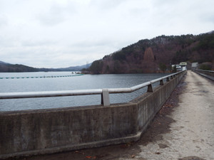 Dscf4603