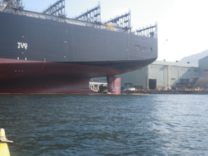 Imgp0009