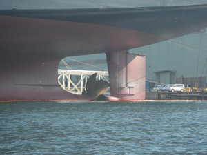 Imgp0010
