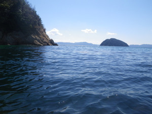 Imgp0001