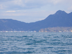 Imgp0010